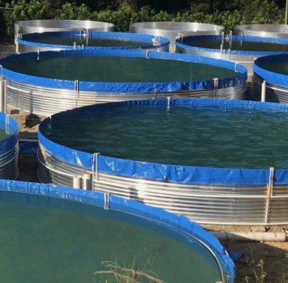 農(nóng)業(yè)農(nóng)村部黃河禁漁聯(lián)合交叉執(zhí)法工作組到鄭州開(kāi)展黃河禁漁執(zhí)法檢查