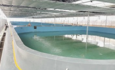 發(fā)展智慧農(nóng)業(yè)&nbsp;建設(shè)數(shù)字鄉(xiāng)村