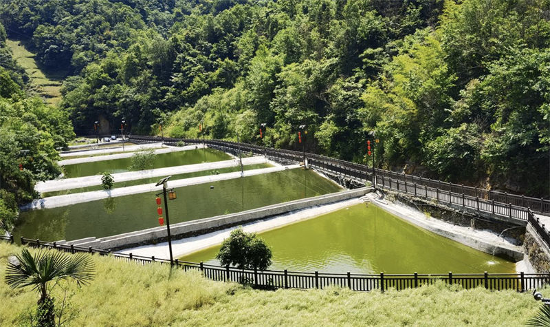 陜西省白河縣：好山好水養(yǎng)好魚(yú)