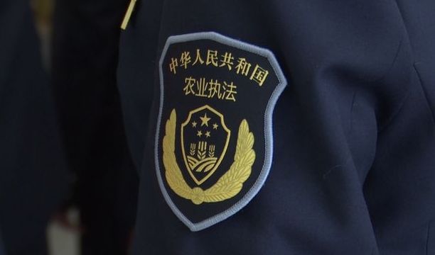 綜合執(zhí)法回歸原主管部門，將農(nóng)業(yè)相關處罰權劃歸農(nóng)業(yè)農(nóng)村局
